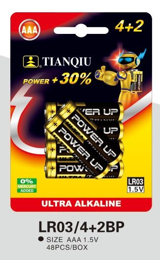 LR03 battery photo 6