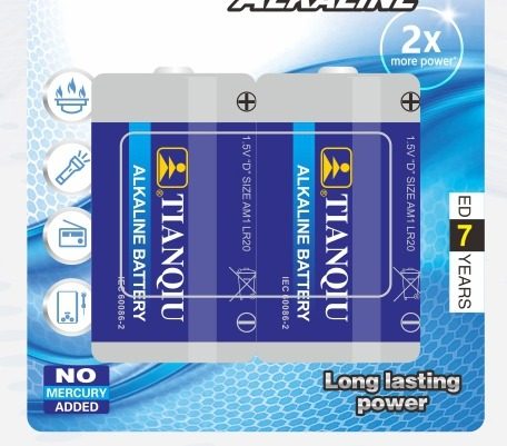 LR20 battery photo 3