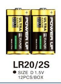 LR20 battery photo 2