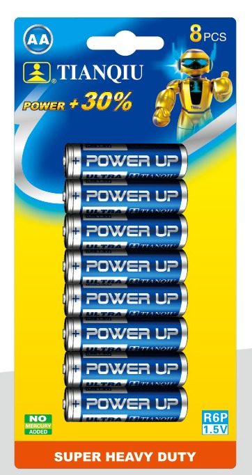 R6P battery photo 4
