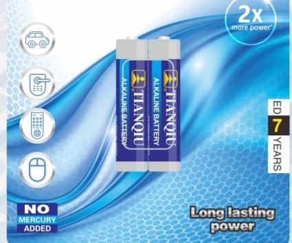 AA LR6 alkaline cells