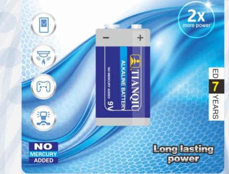 D size LR20 alkaline cell