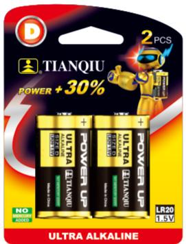 LR20 battery photo 4